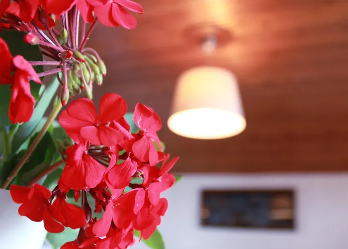 Daire Kehagias *